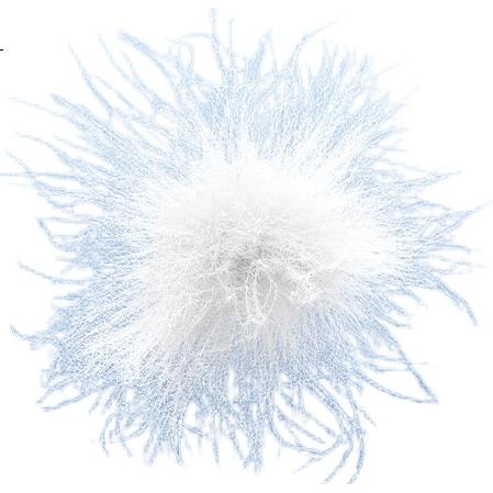 White Image 3