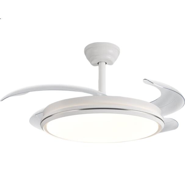 White Image 1