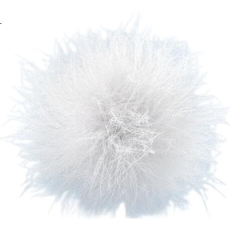 White Image 2