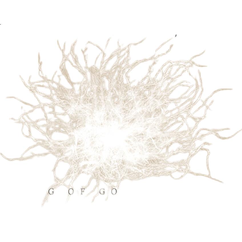 White Image 2