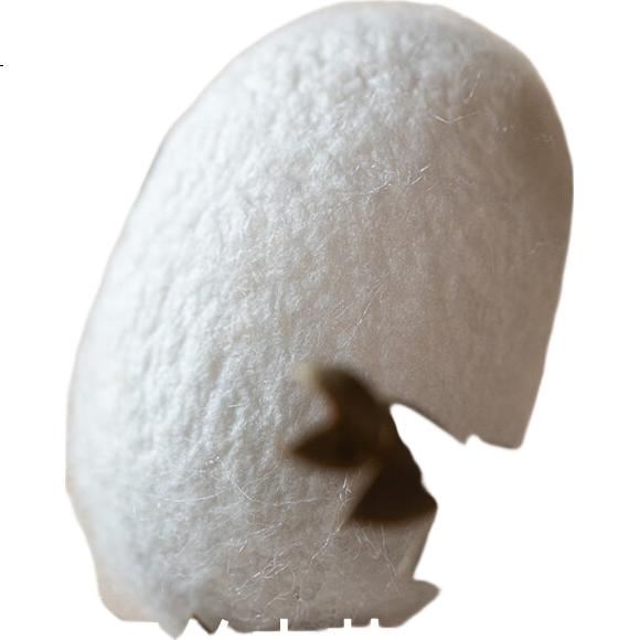 White Image 3