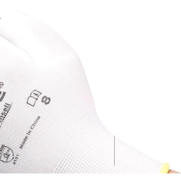 White Image 3