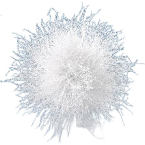White Image 2