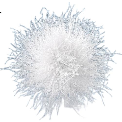White Image 3