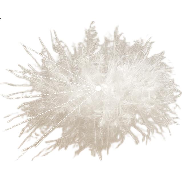 White Image 3