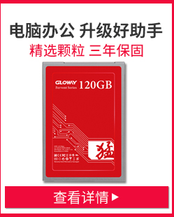 光威（Gloway）猛将240G SATA3 SSD固态硬盘-京东