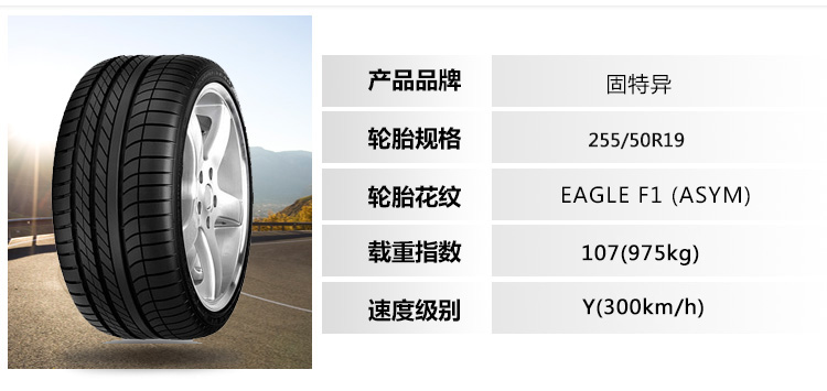 6-255-50R19-107Y-EAGLE-F1-(ASYM)-.jpg