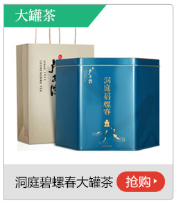 【京东超市】2017春茶上市 卢正浩 茶叶 绿茶 洞庭碧螺春...
