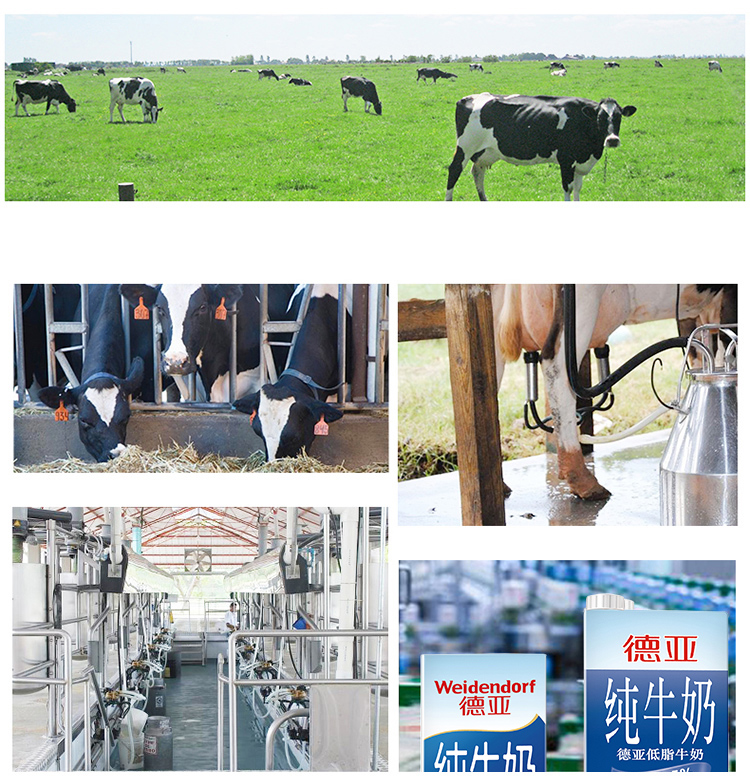 德国进口牛奶 德亚（Weidendorf）低脂 1L*12 ...-京东