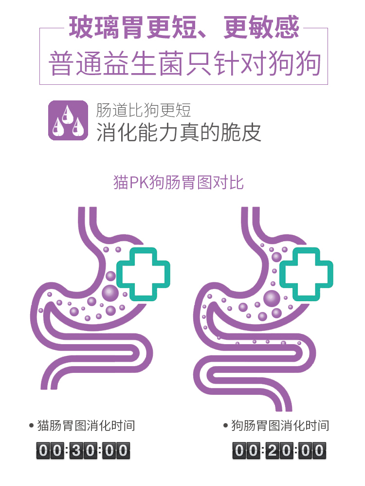 谷登猫用_07.jpg