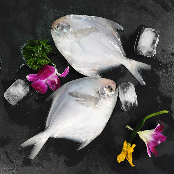 纯色本味 冷冻舟山白鲳鱼 400g/袋 鲳鱼 烧烤食材 海鲜水产-京东