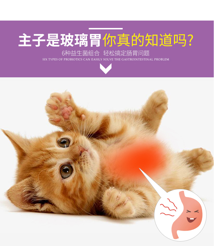 谷登猫用_05.jpg