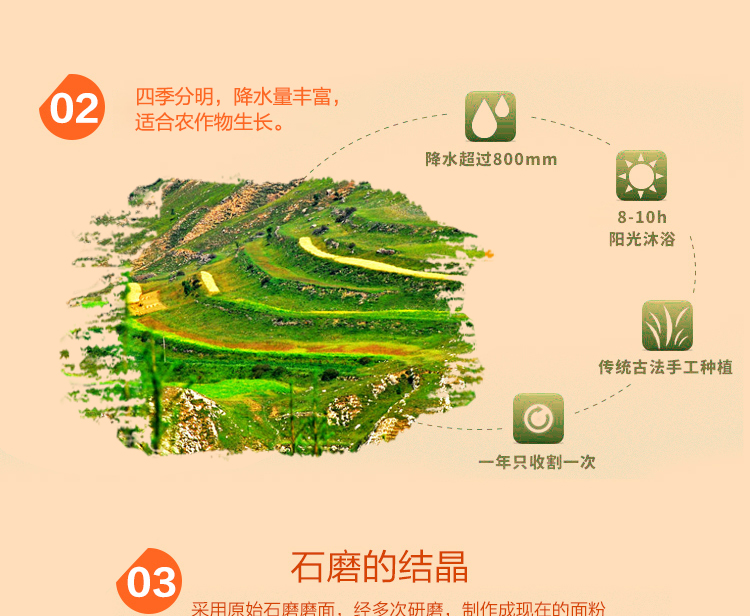 五谷康 果蔬粉 胡萝卜面粉1000g-京东