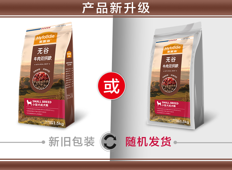 小型成犬.jpg