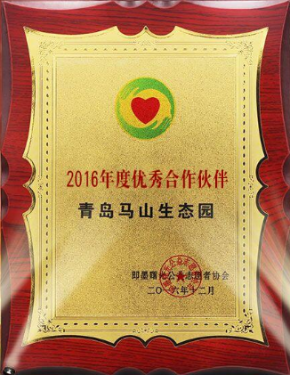 印可得 奖牌授权牌荣誉牌牌匾定做制作木托铜牌木质证书实木金箔奖牌