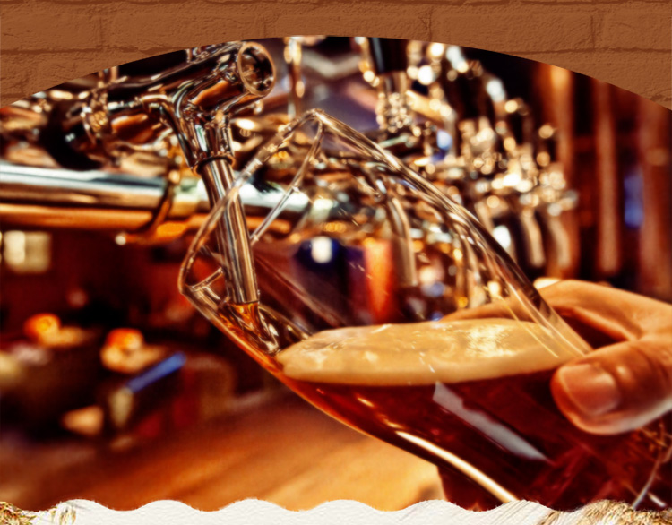 拳击猫精酿(boxing cat)右勾拳德式淡色拉格啤酒ca.-京东