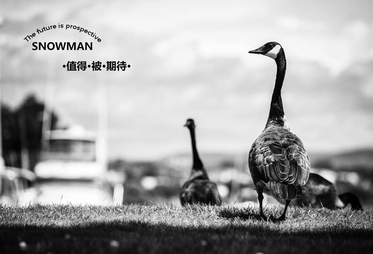 未标题-750-.jpg