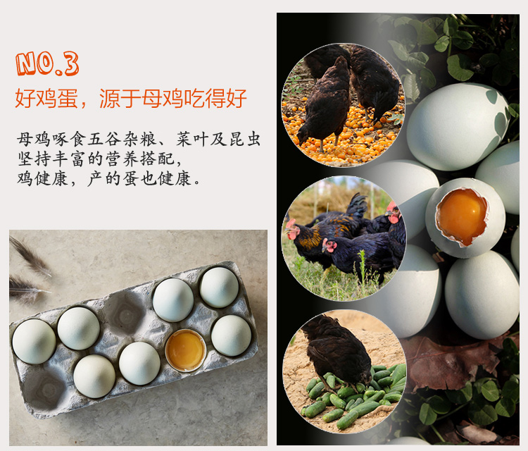 沱沱工社  散养绿壳鸡蛋 15枚/盒-京东