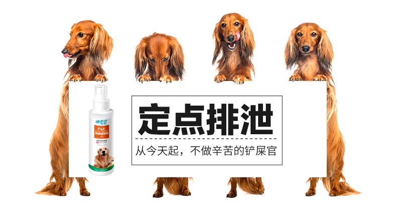详细_02.jpg