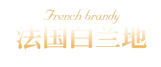 雷诺（RENOWN）格特白兰地VSOP700ml 礼盒装 洋...-京东