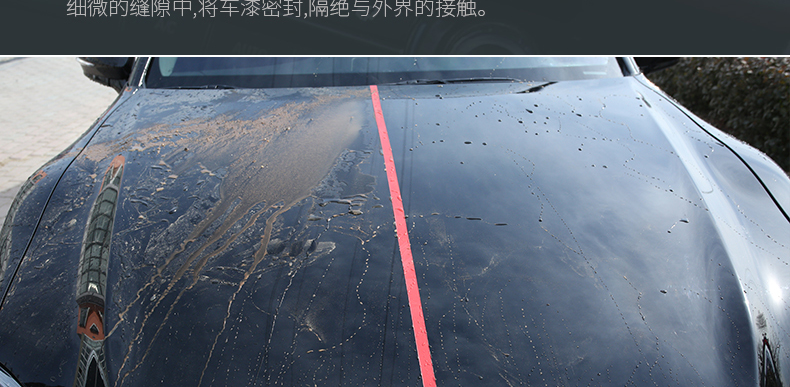 车漆镀膜_11.jpg
