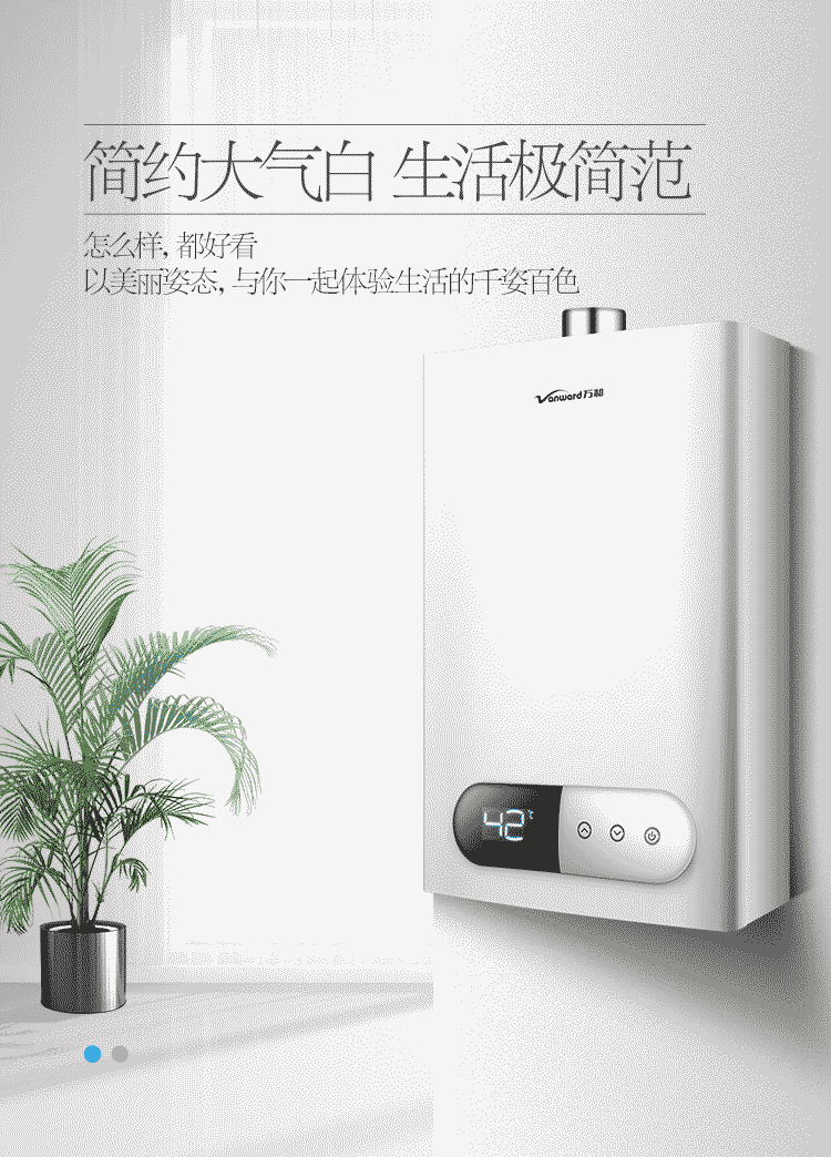 万和 JSQ20-220J10 燃气热水器 10升 液化气/天然气 图2