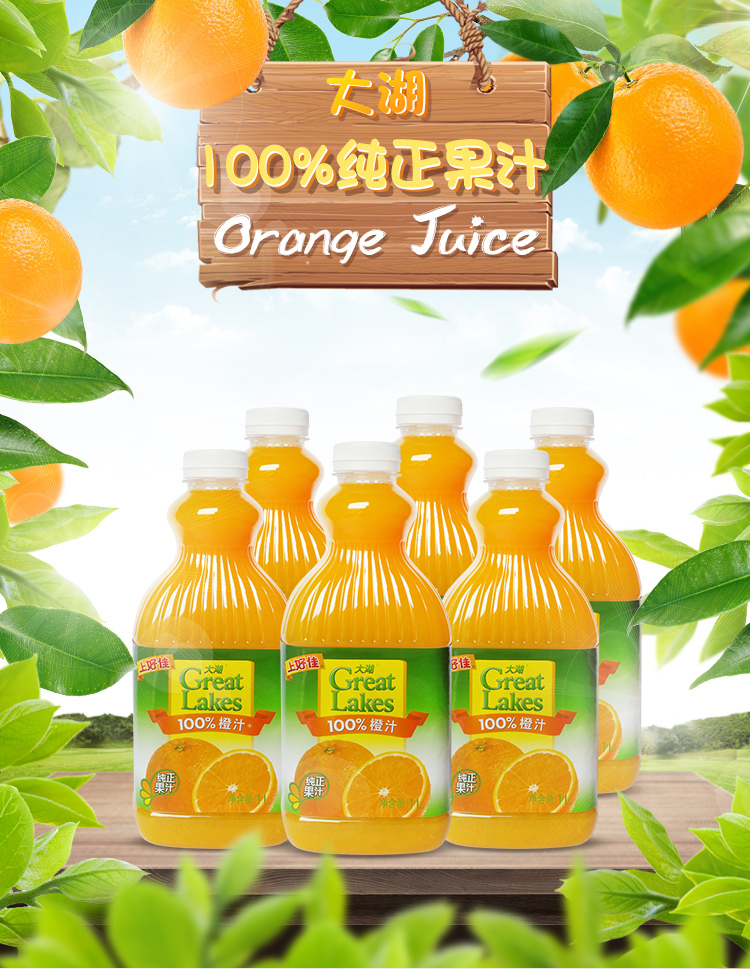 【大湖100%果汁 橙汁 1l×6瓶】great lakes 大湖橙汁 100%果汁 饮料