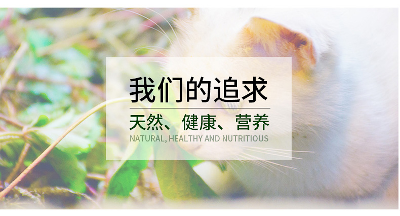 猫草_07.jpg