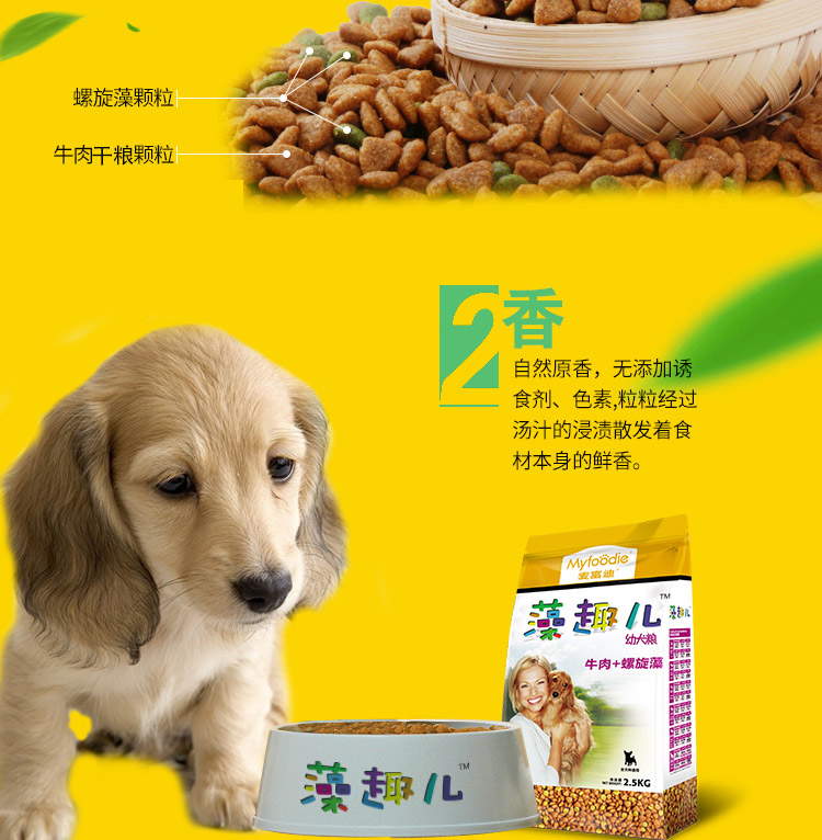 幼犬.jpg