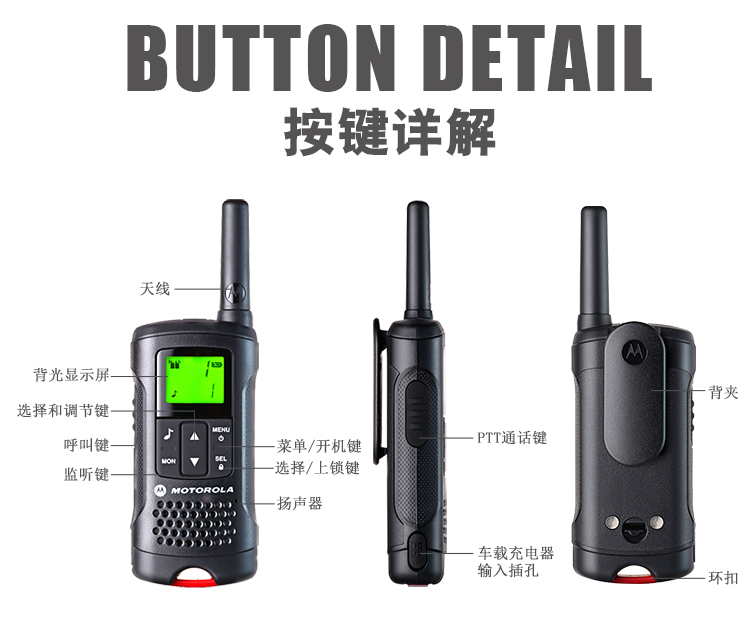 T60-15_29.jpg