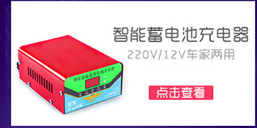 典爵 DIANJUE 6A汽车电瓶充电器 摩托车电瓶充电器 ...-京东