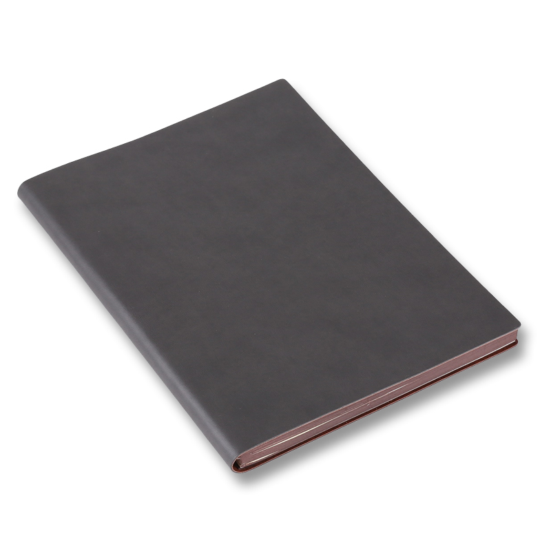 TRNFA TB-H197 Colorful Fashionable Imported Color-Changing PU Notebook, High-End Business Journal, Soft Leather Cover Memo Pad, Creative Office Stationery (Light Gray 18K)
