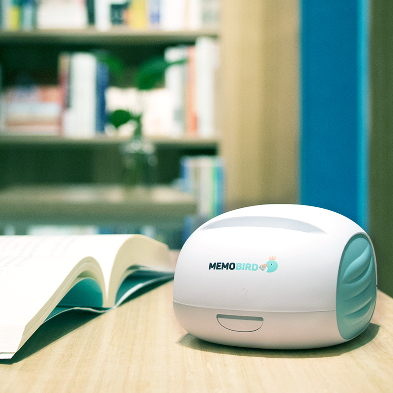 MEMOBIRD G2C Classic Gray Portable Error Correction Printer, Efficient Learning Journal Mini Thermal Printer, WIFI Connection, Christmas Gift, for Girlfriend, Long-Distance Relationship