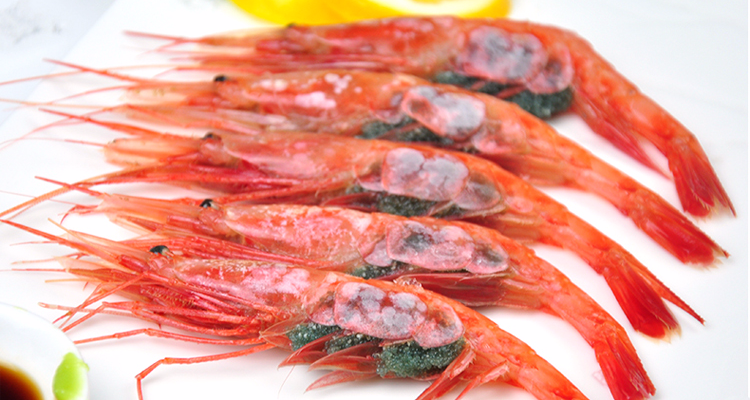 聚福鲜 韩国冷冻长额虾 50-70只 1000g 刺身甜虾 北极甜虾