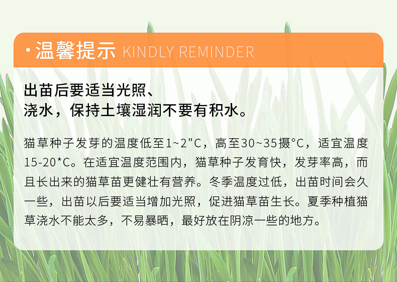 猫草_12.jpg