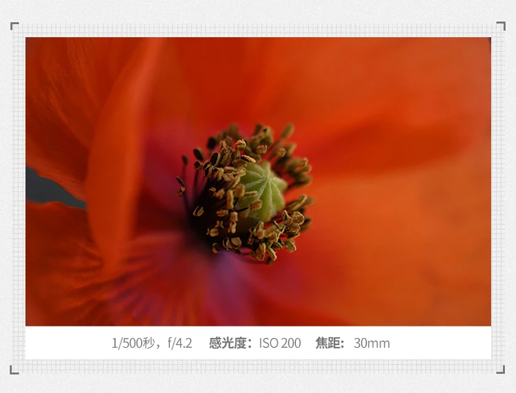Nikon D7500 SLR camera, single body, approximately 20.88 million effective pixels, 51-point autofocus system Nikon D7500 SLR camera, single body, approximately 20.88 million effective pixels, 51-point autofocus system