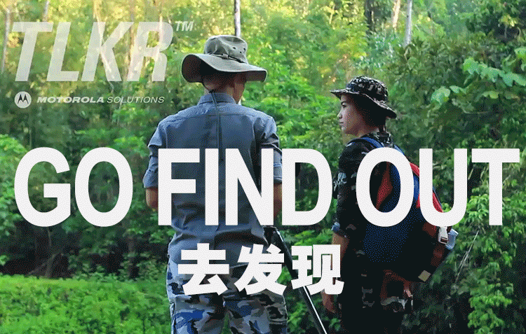 场景27.gif