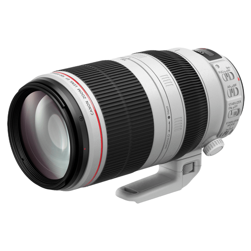 Canon EF 100-400mm f/4.5-5.6L IS II USM DSLR Telephoto Zoom Lens
