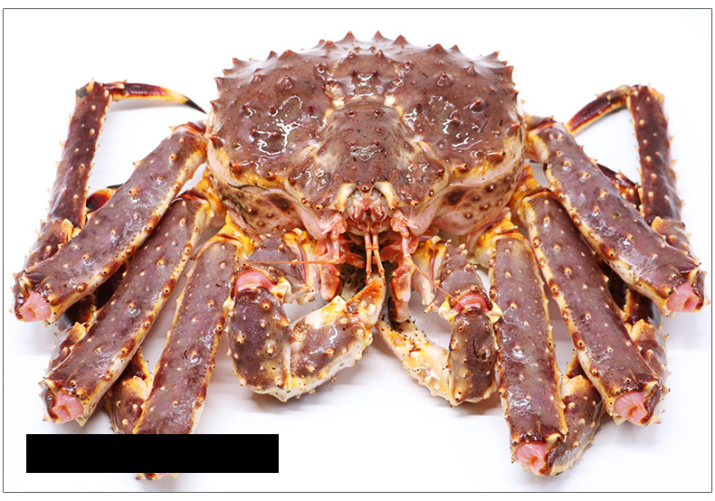 【活鲜】聚福鲜 鲜活阿拉斯加帝王蟹 3700g 1只