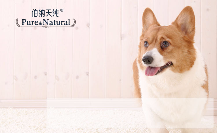伯纳天纯(pure&natural)宠物狗粮小型犬成犬健胃促吸收狗粮1.5kg