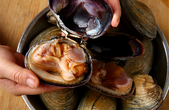 梦尝客大连冷冻天鹅蛋紫石房蛤海鲜水产1公斤69只袋装海鲜水产