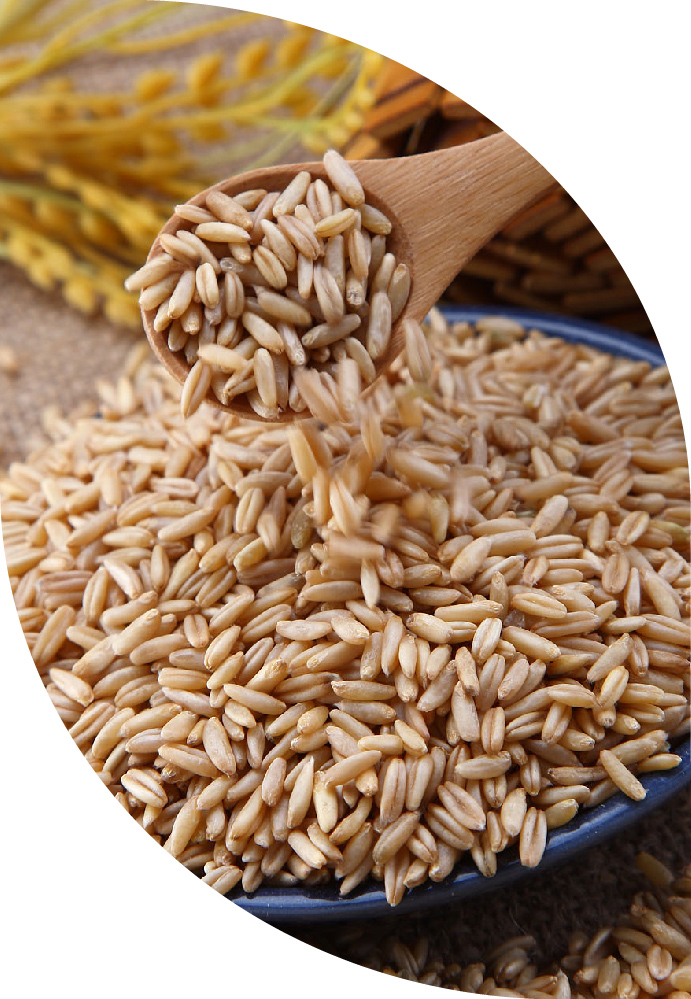 天地粮人 有机 燕麦米 1.