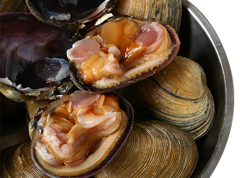 梦尝客大连冷冻天鹅蛋紫石房蛤海鲜水产1公斤69只袋装海鲜水产