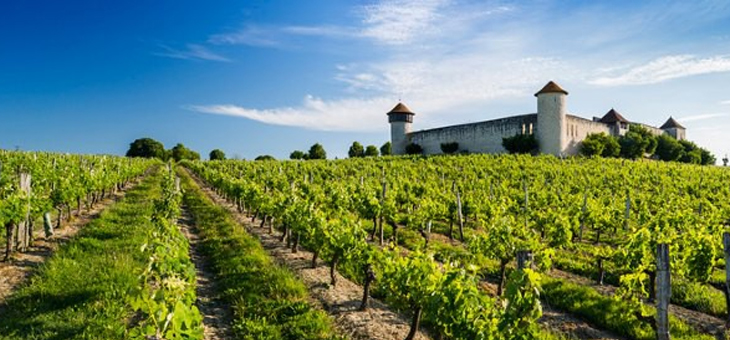 法国进口红酒 图卡斯特隆堡干红(chateau tour castillon)葡萄酒2013