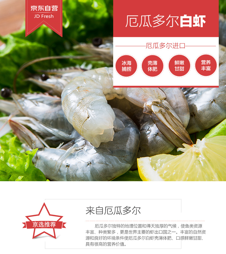 海鲜水产 虾类 大洋世家 大洋世家厄瓜多尔白虾      商品品牌