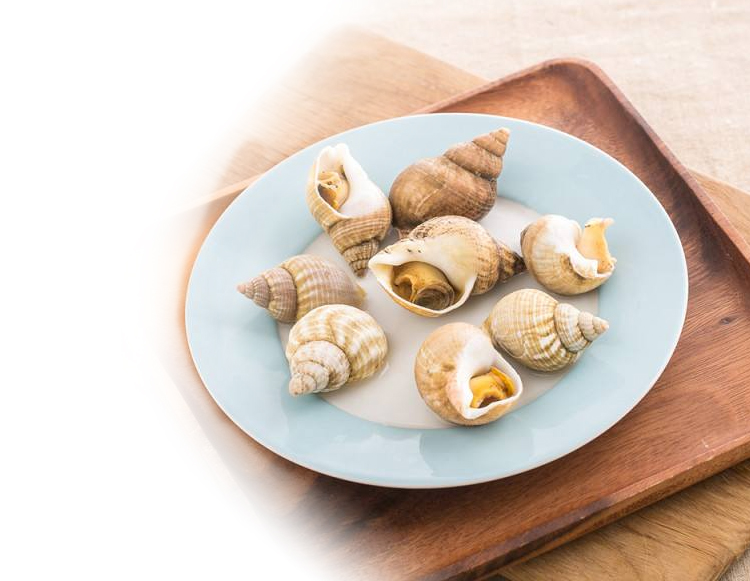 拓食 熟冻爱尔兰全壳北蛾螺 500g/袋 15-25只 海鲜