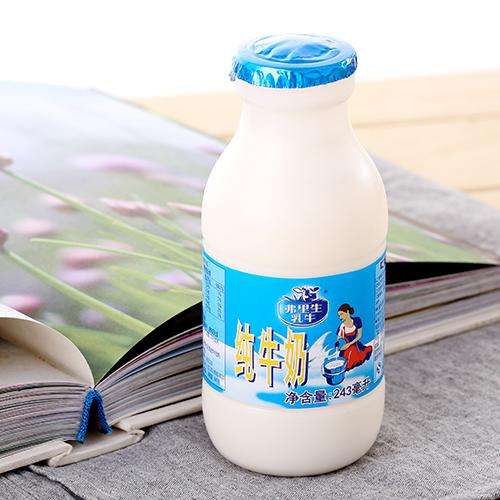 弗里生乳牛纯牛奶