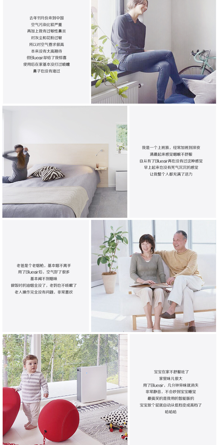 布鲁雅尔（Blueair）空气净化器 303-京东