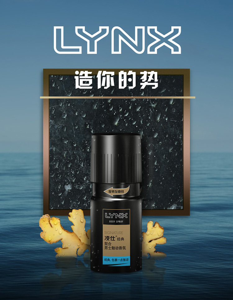 凌仕(lynx/axe)魅动男士香氛 契合(金桔清新)150ml(新老包装随机发货)