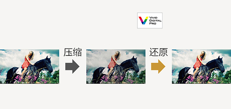 松下（ Panasonic）电视 TH-55EX600C 55英寸六色4K超高清型  HDR智能IPS硬屏液晶电视机（黑色）-京东